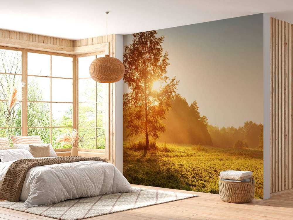 Weiland bij zonsopkomst