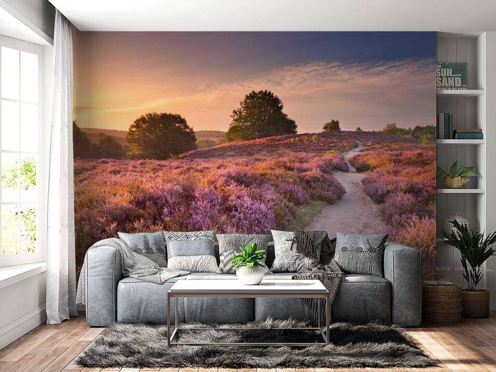 Pad met veel bloemen