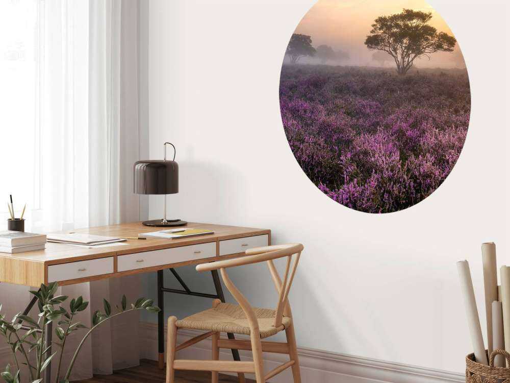 De Veluwe in de vroege ochtend