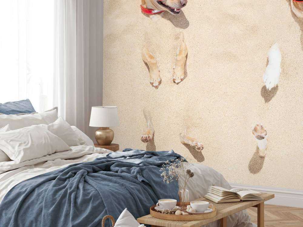 Ingegraven honden op het strand