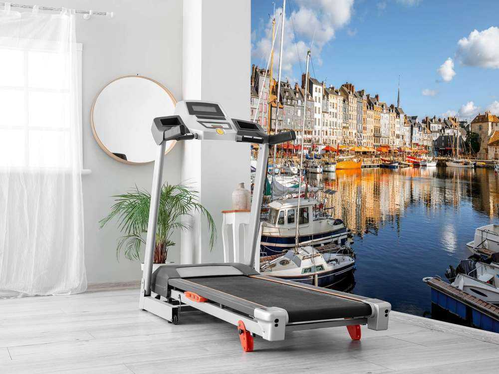 De haven van Honfleur in de ochtend