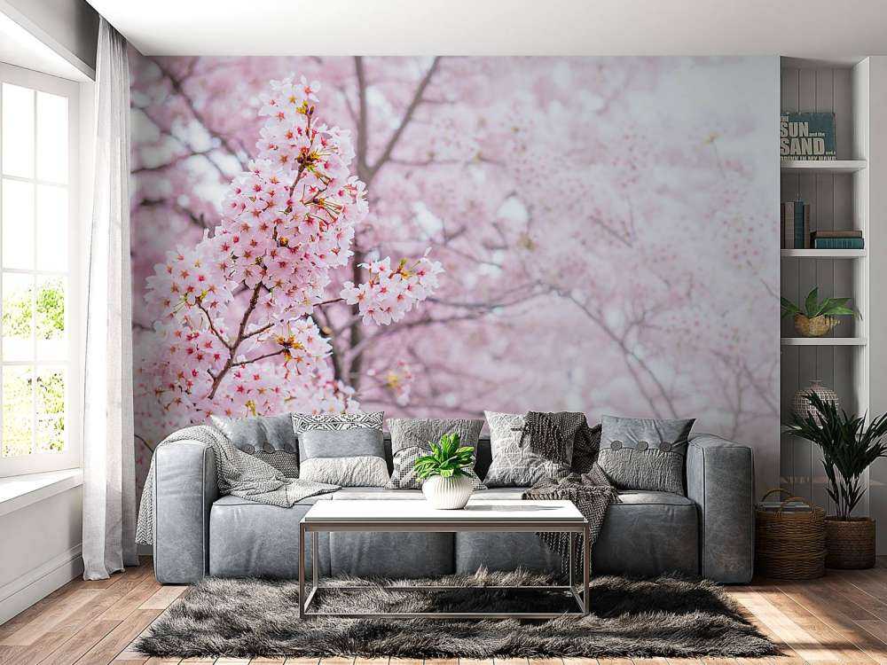 Lichte Bloesem in Korea