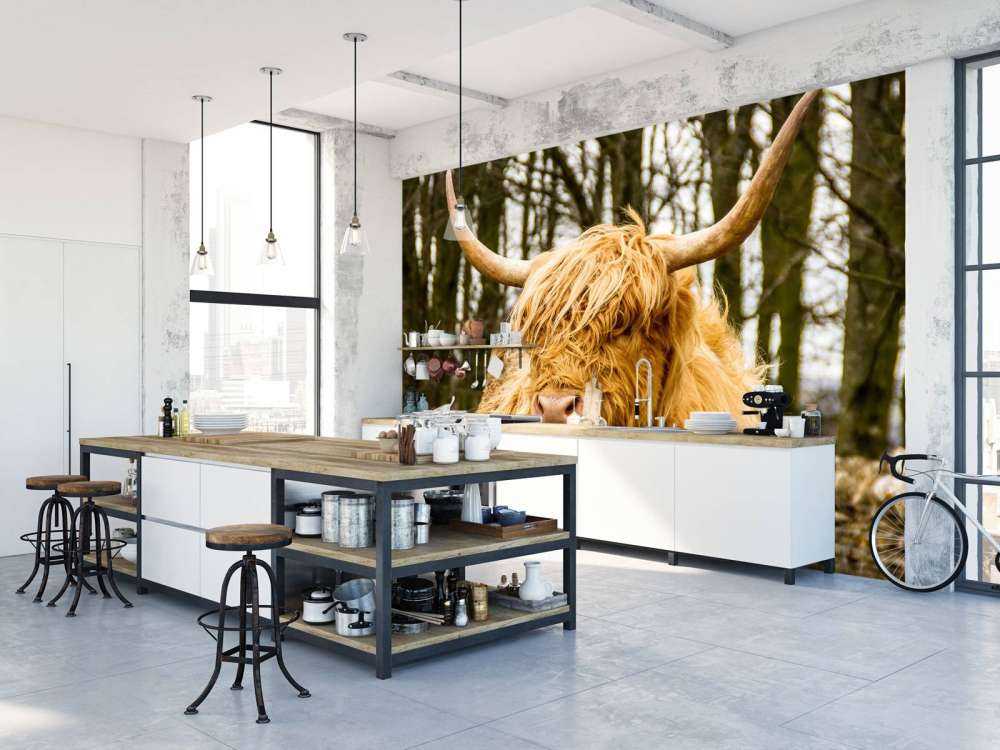 Schotse Hooglander met Bomen op achtergrond