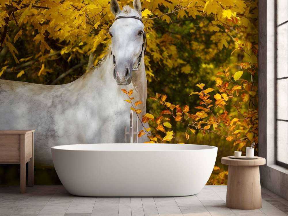 Wit Paard in de Herfst