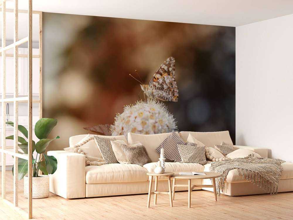 Vlinder op witte bloem