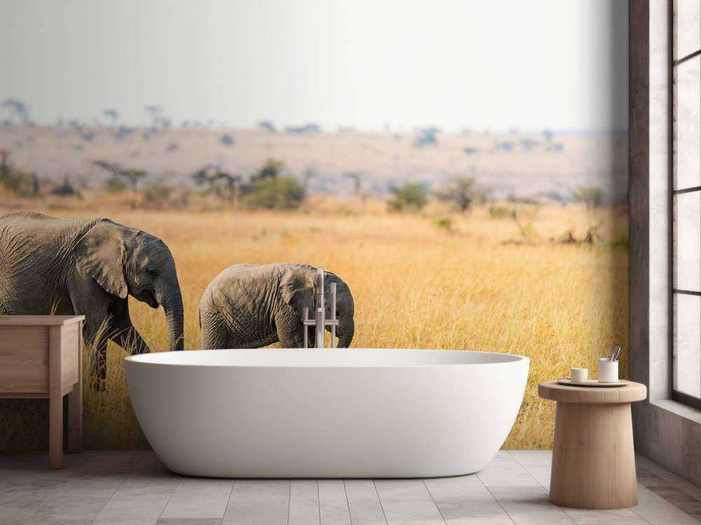 Olifant en Baby Olifant in Afrika