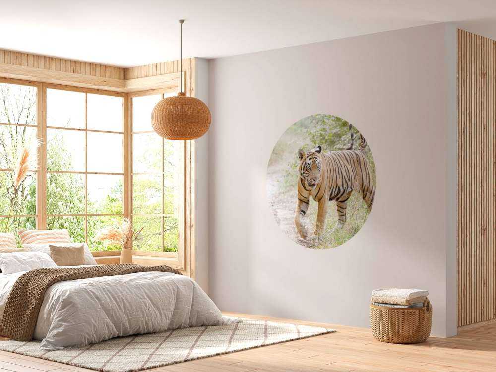 Bengaalse Tijger lopend in woud