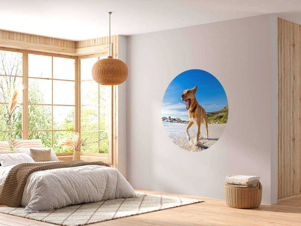 Hond in de zomer op het strand