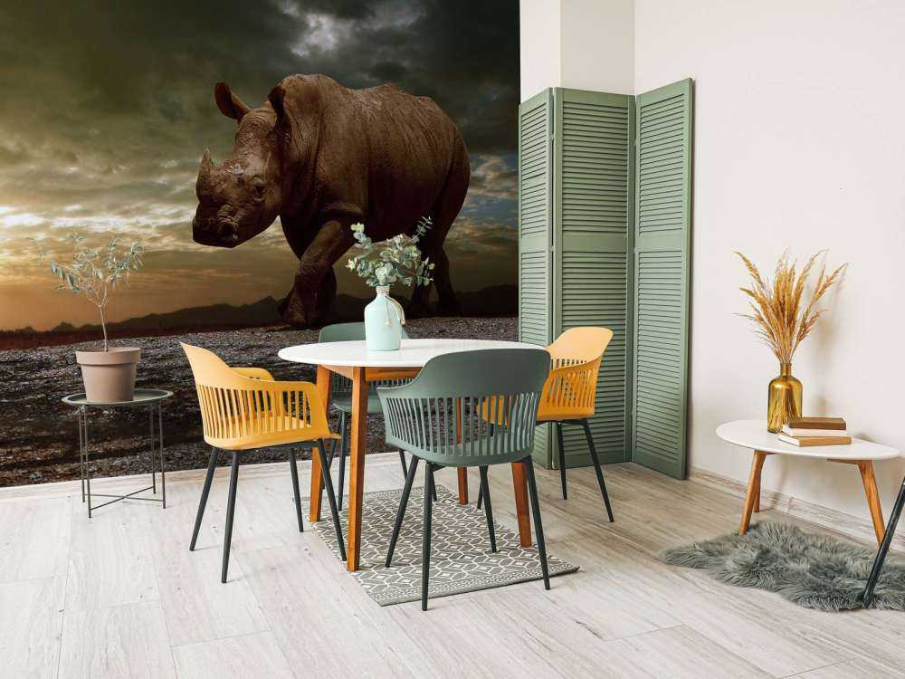 Afrikaanse neushoorn op een vuil veld