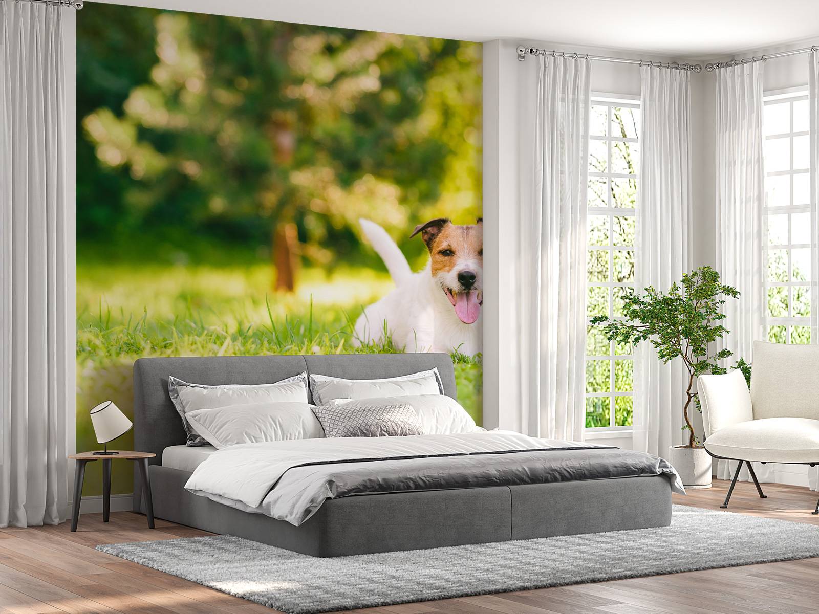 Een vrolijke Jack Russell
