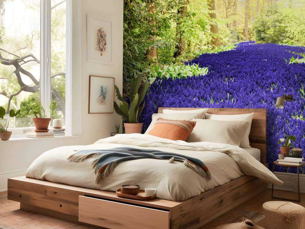 Paarse muscari in de Keukenhof tuinen