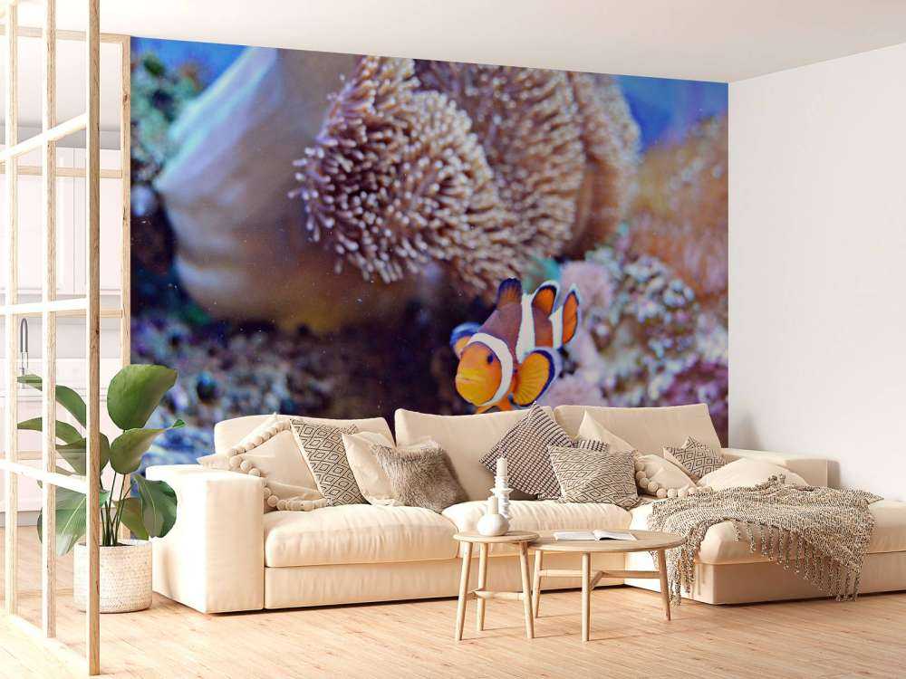 Anemoonvis in een koraalrif