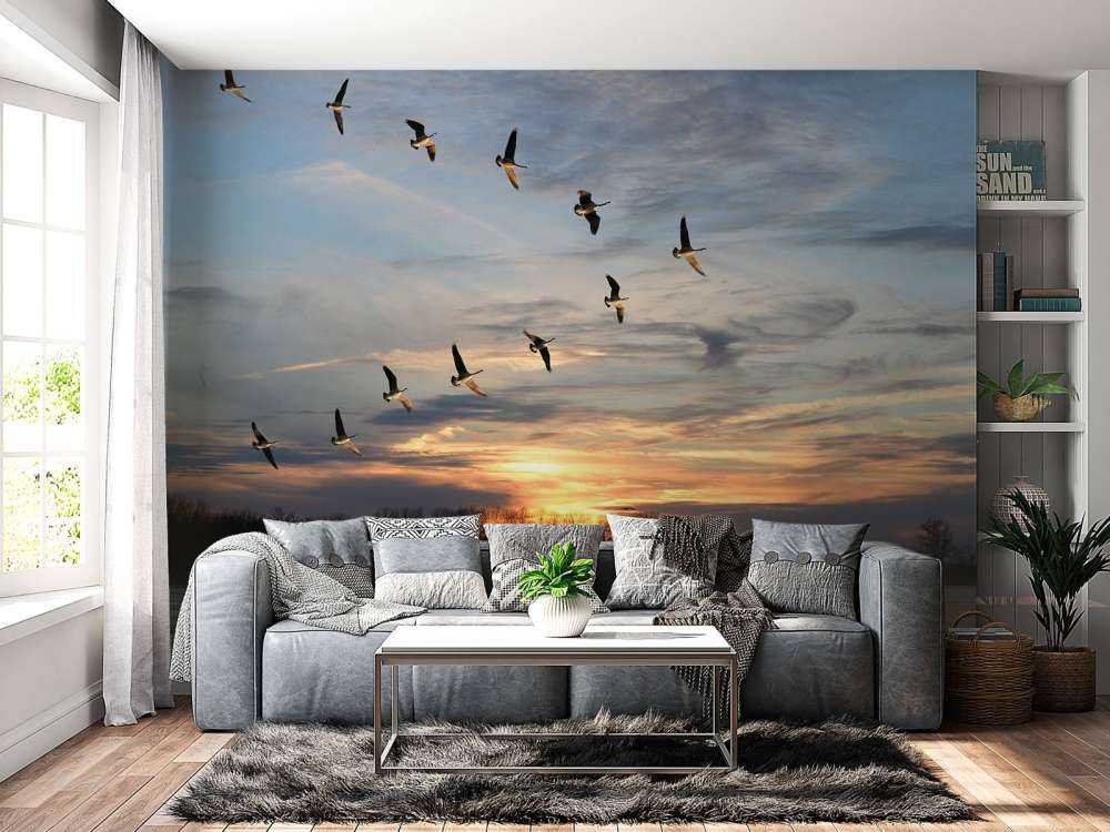 Grote Canadese ganzen in V-formatie