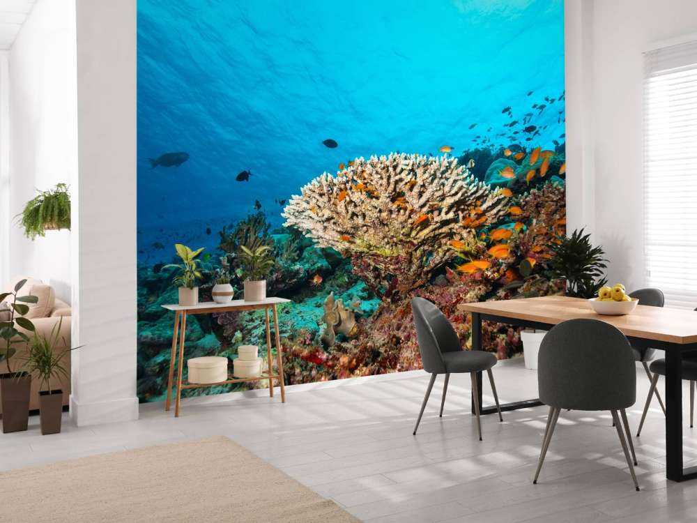 Koraalrif op de bodem van de Indische Oceaan