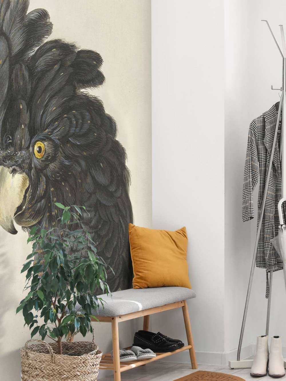 Black cockatoo portrait