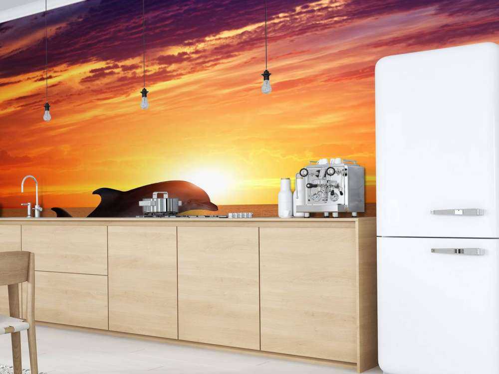 Dolfijnen in avondzon