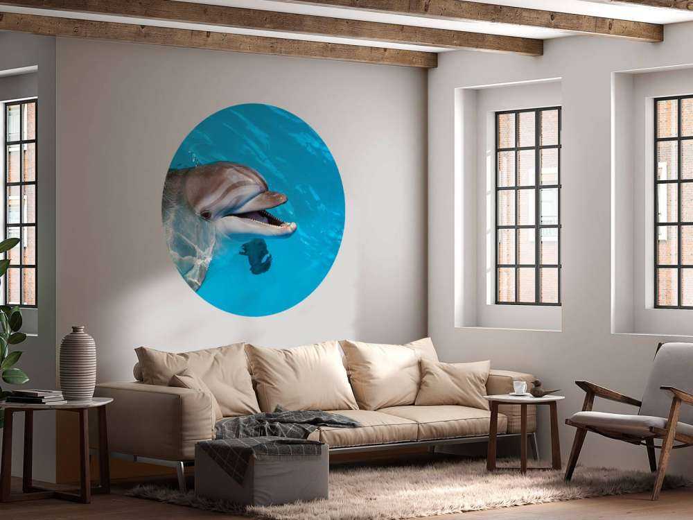 Vriendelijke dolfijn