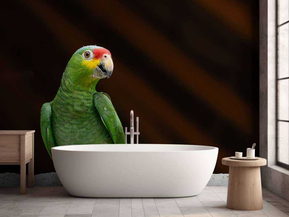 Nieuwsgierige papegaai