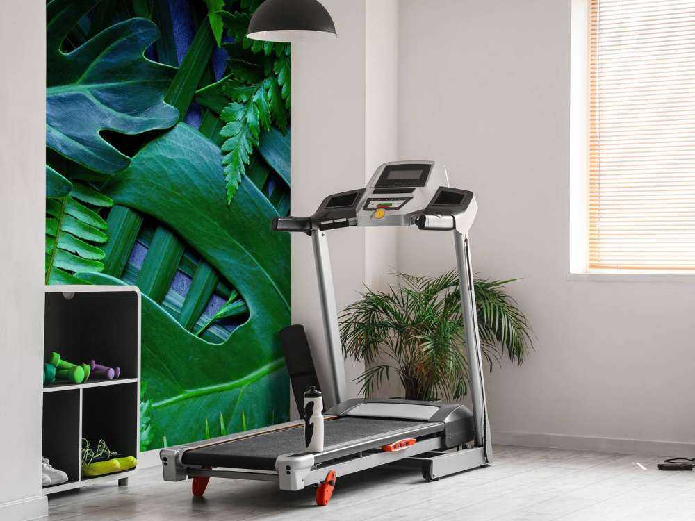 Groene jungle bladeren