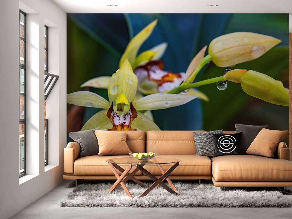 Wilde, gele orchidee
