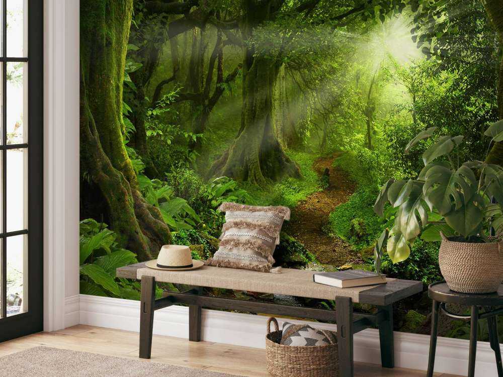 Tropische jungle met zonlicht