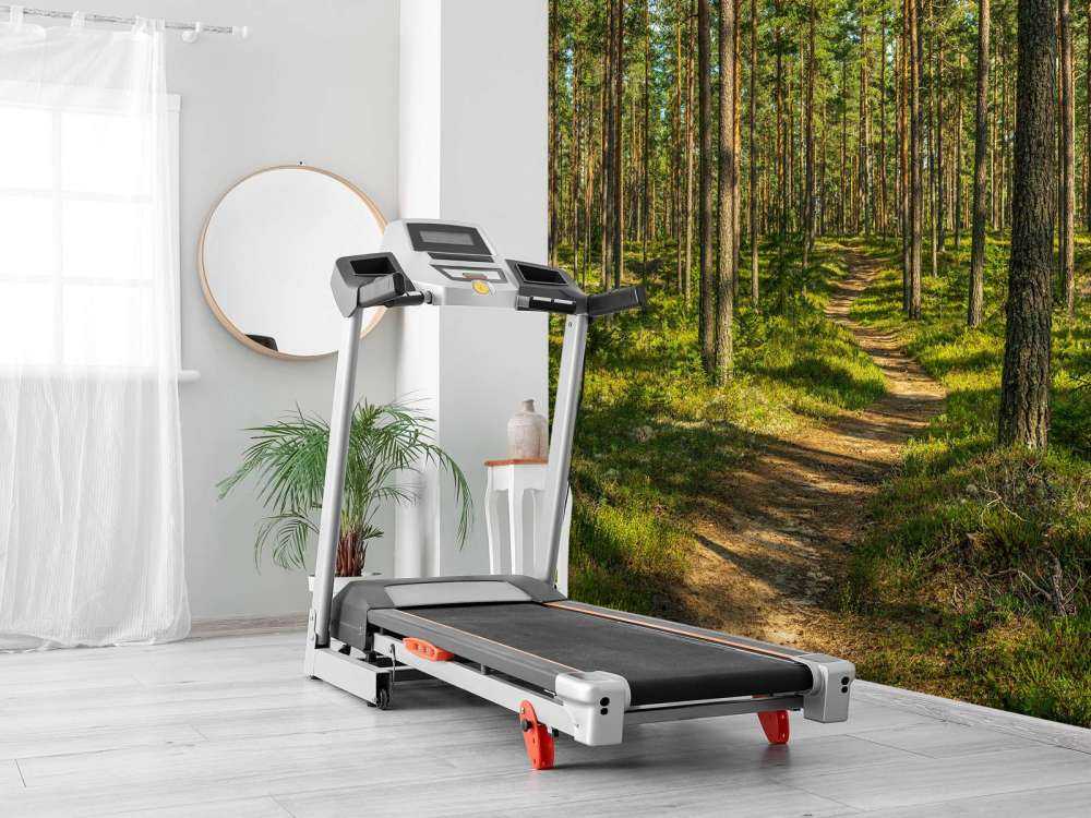 Wandelpad in dennenbos