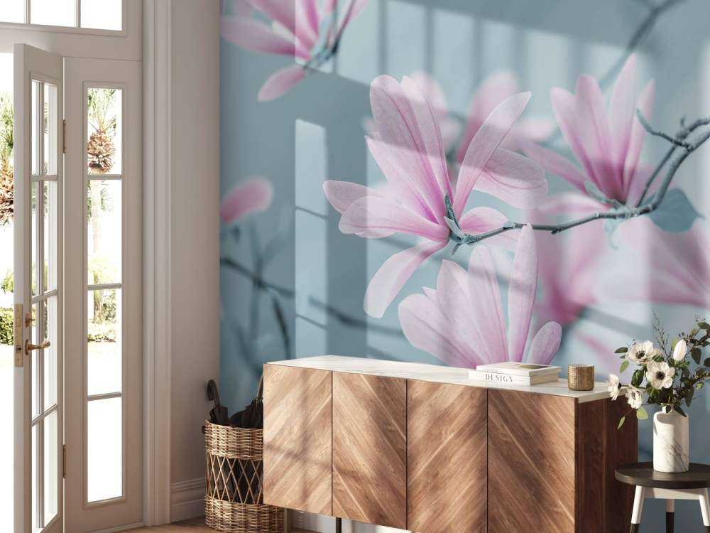 Magnolia bloemen