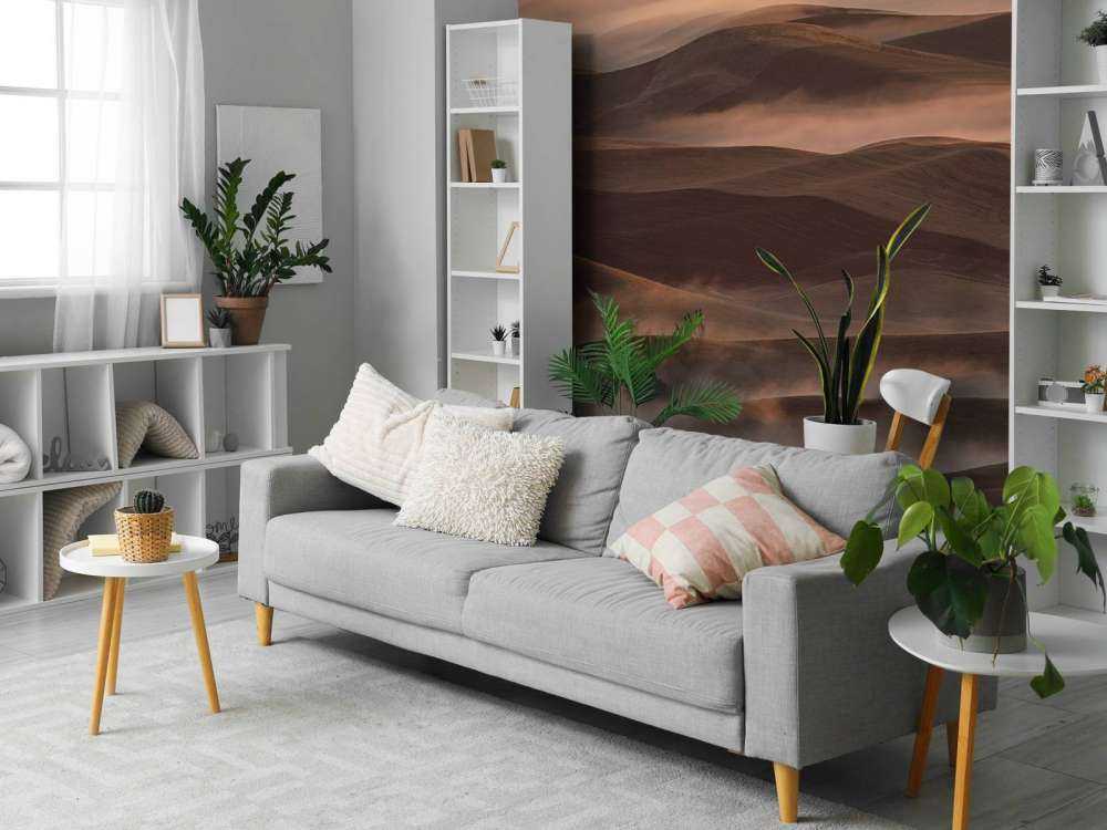 Early Spring Morning at Palouse