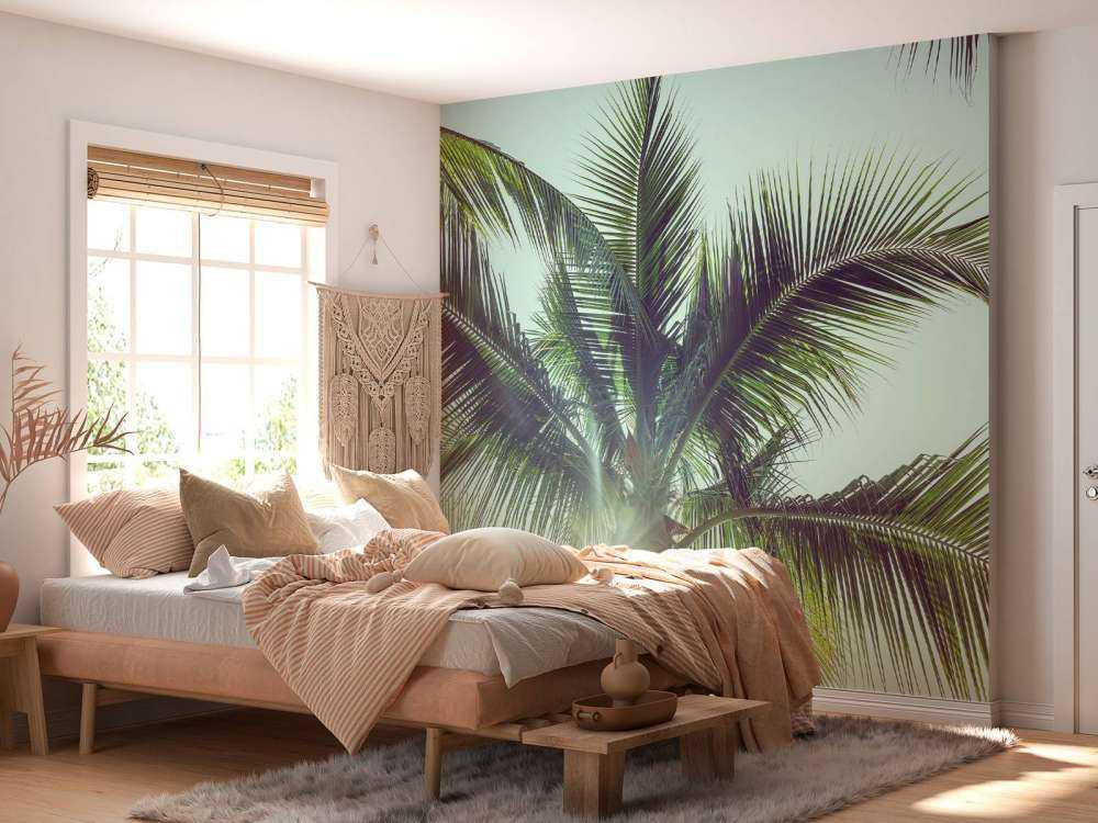 Palmbomen in de zon