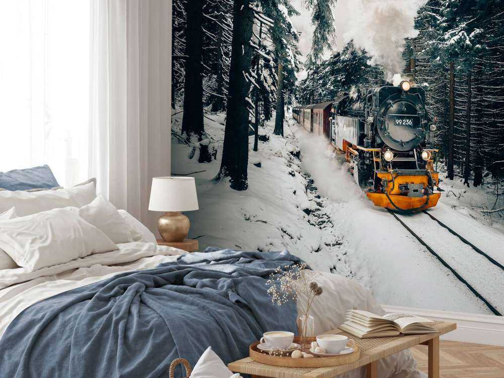 De Zweinstein express