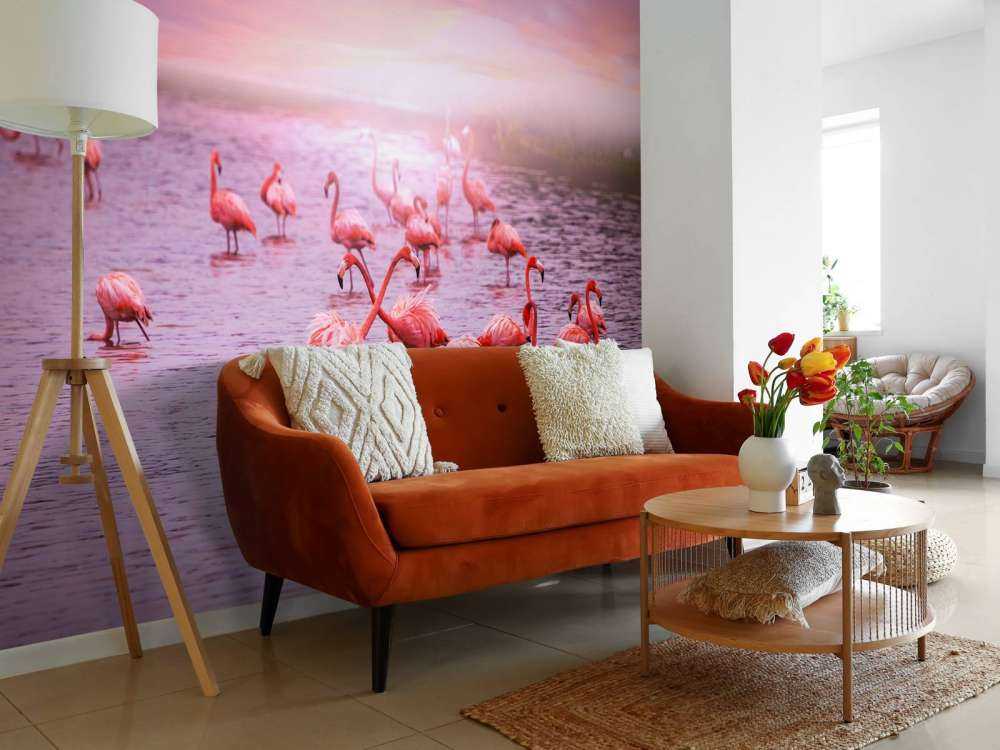 Flamingo's met zonsondergang