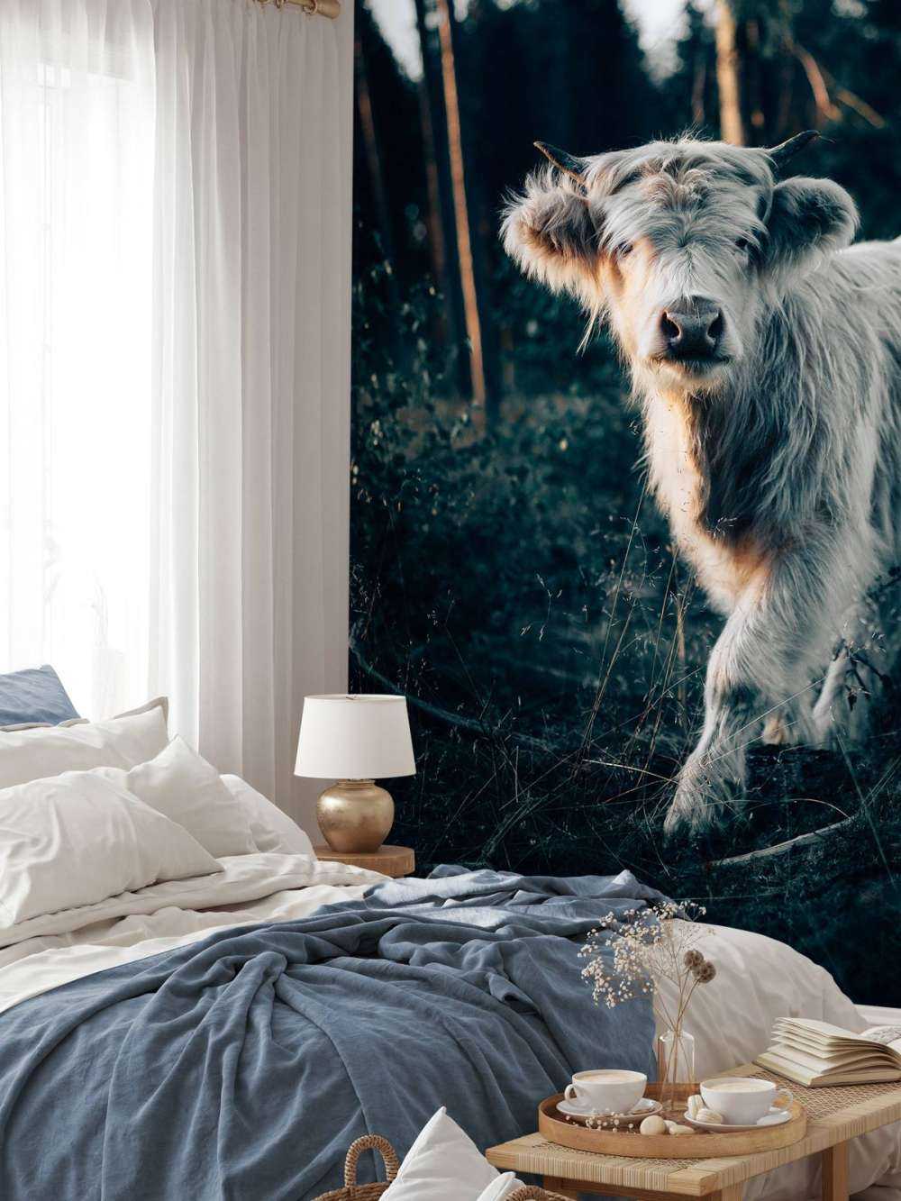 Schotse hooglander jong