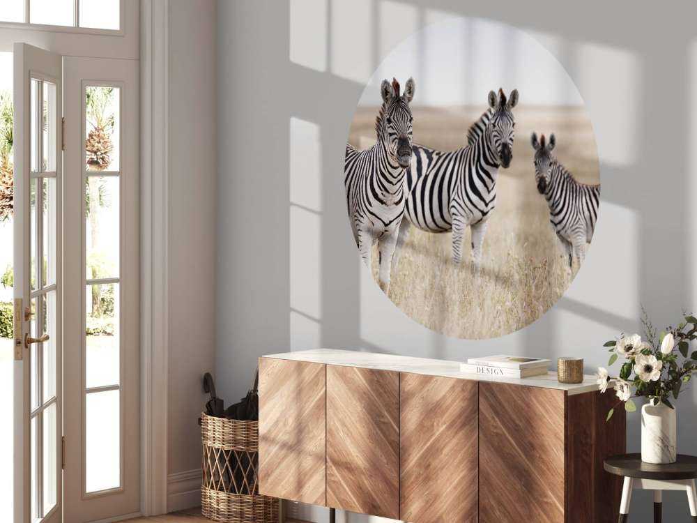 Zebra's in de natuur