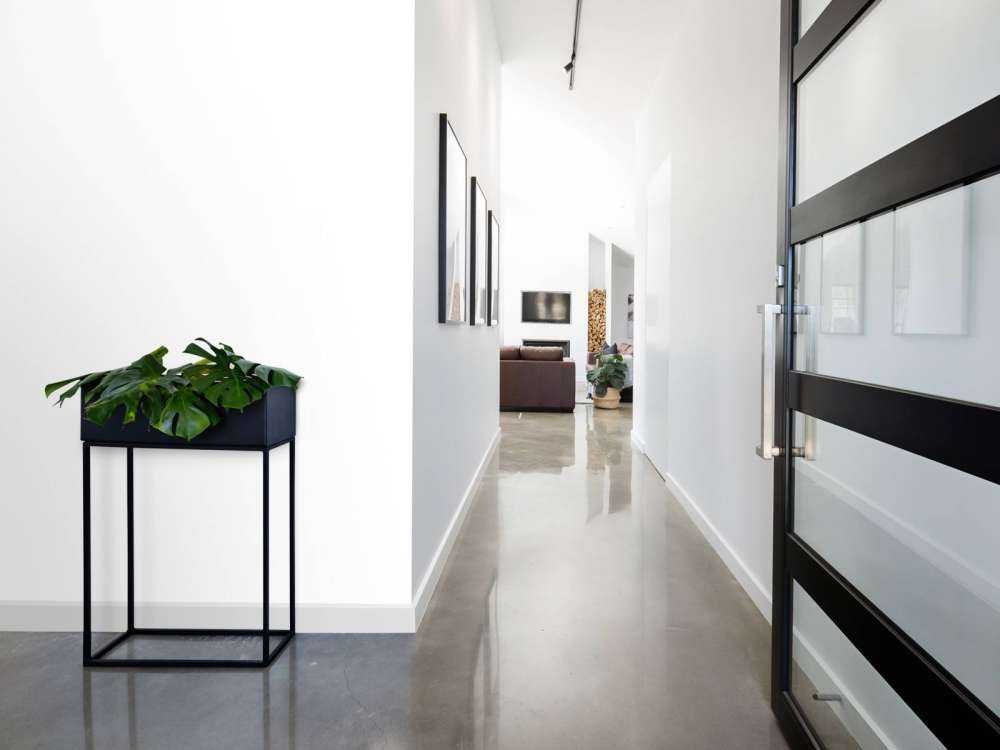 Vogeltje op een takje met een witte achtergrond