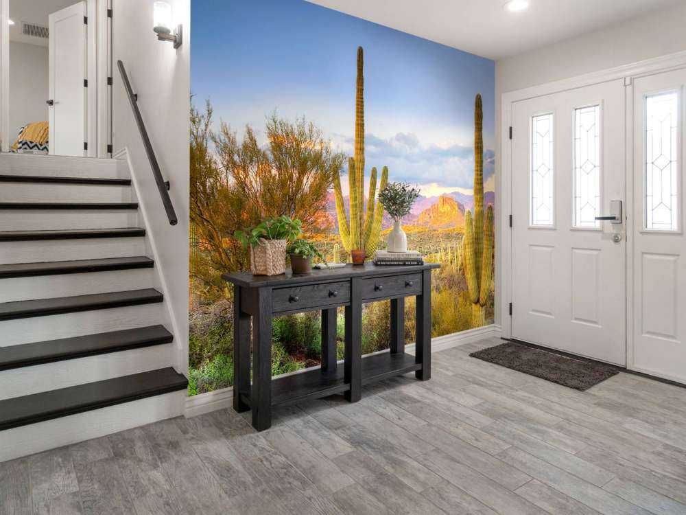 Zonsondergang in een steppe