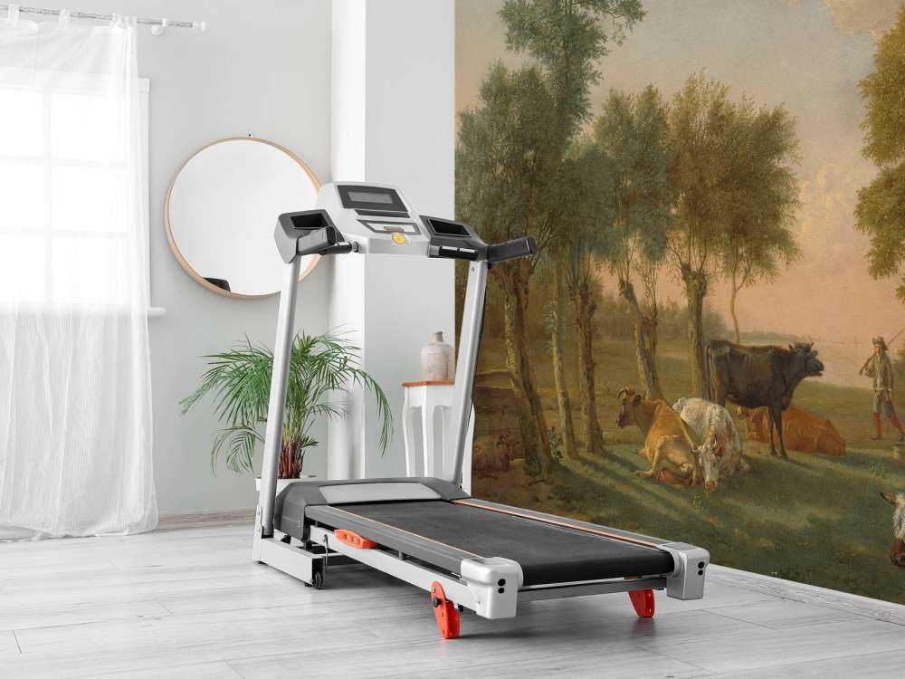 Koeien in de wei bij een boerderij