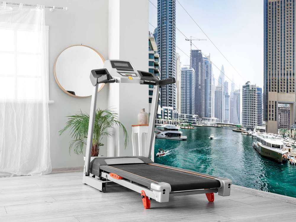 Boten in Dubai Marina