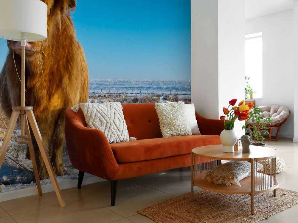 Schotse Hooglander met een blauwe lucht