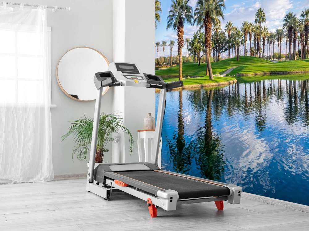 Palmbomen op een golfbaan