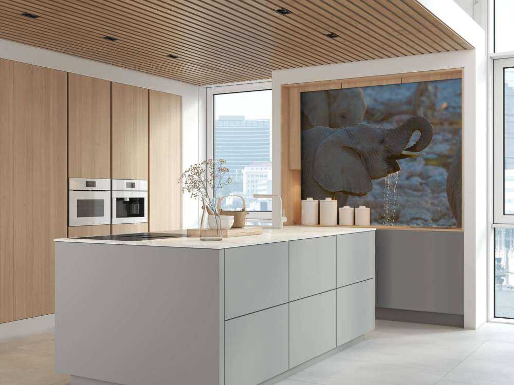 Olifanten drinken water