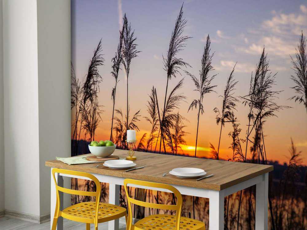 Rivier met riet bij zonsondergang