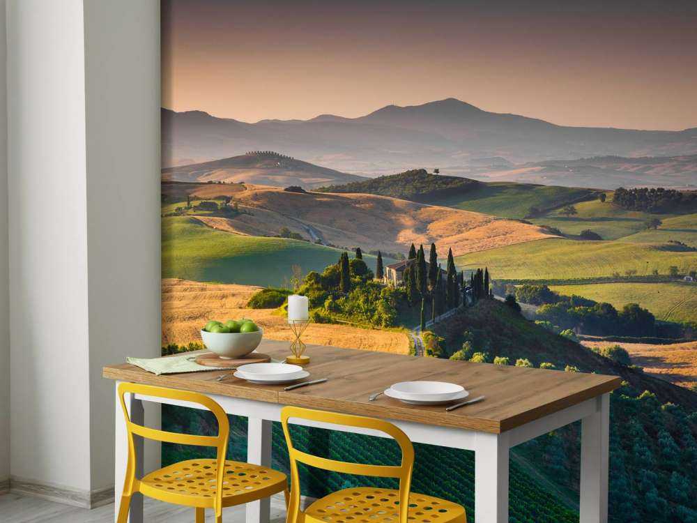 Toscaans landschap met wijngaarden