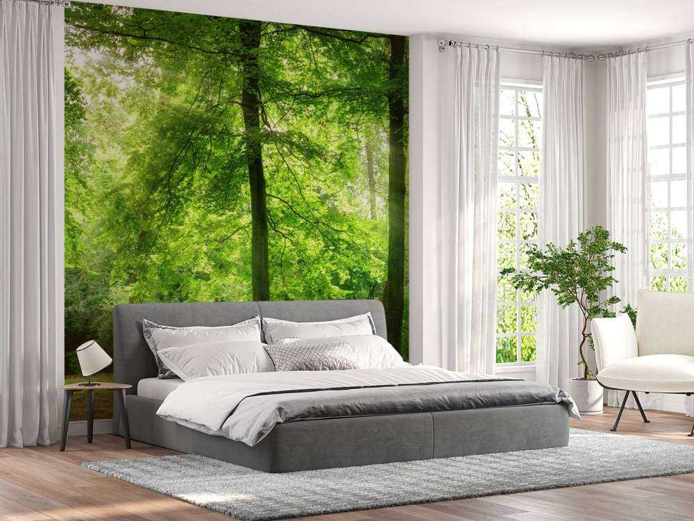 Bos met lichte nevel