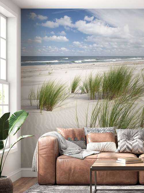 Strand met duinplanten
