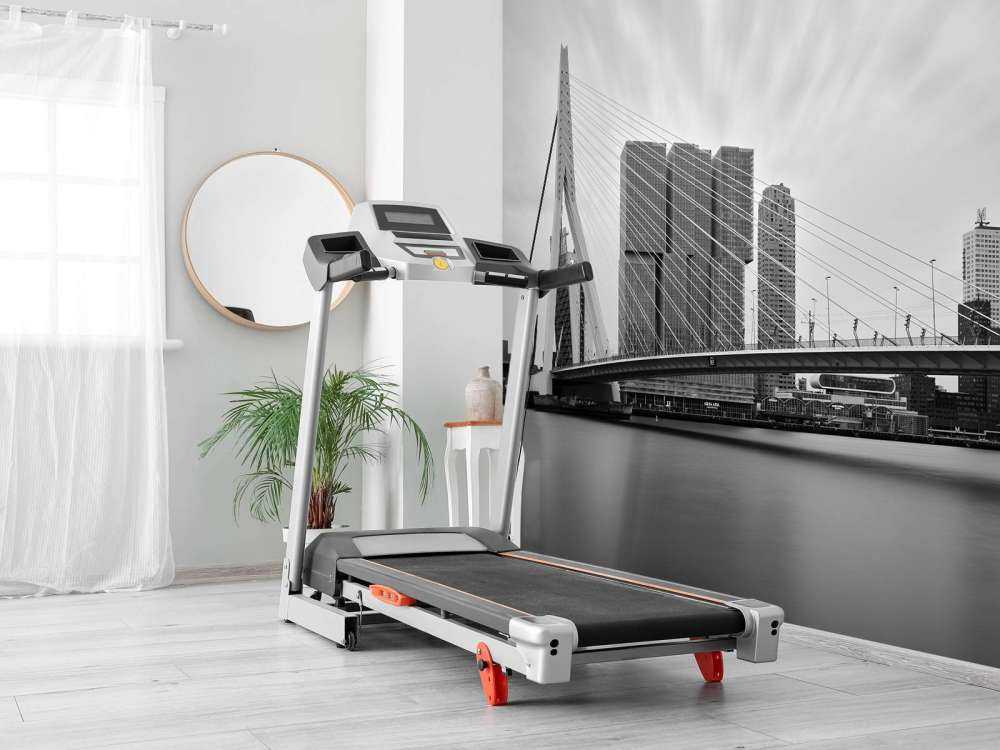 Erasmusbrug zwart wit