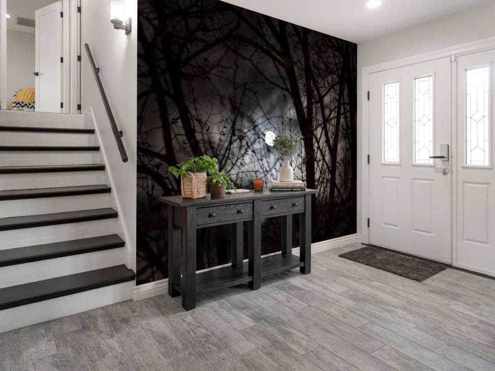 Volle maan vanuit het bos