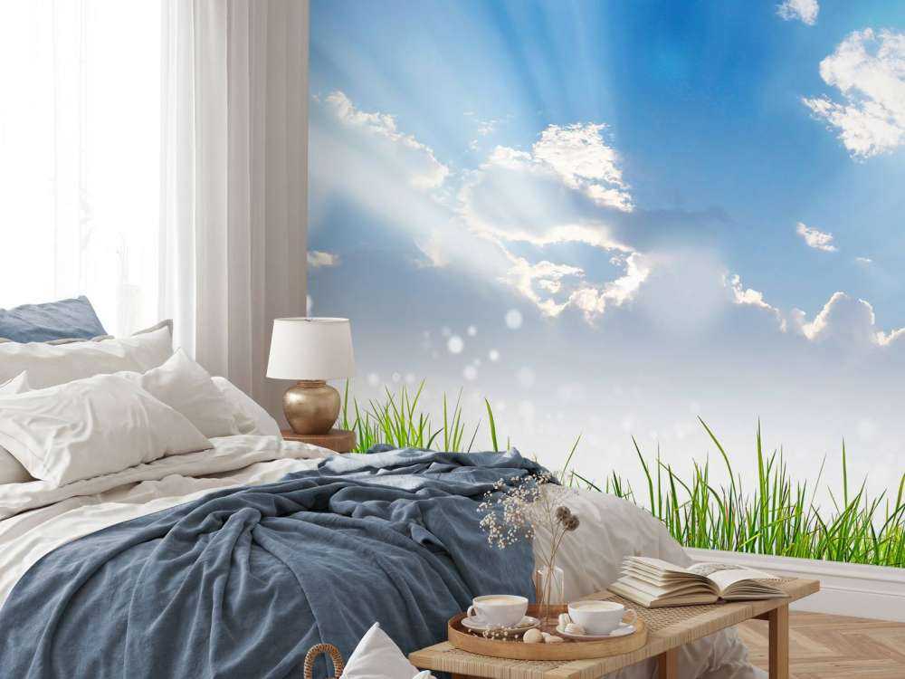 Gras onder prachtige wolken