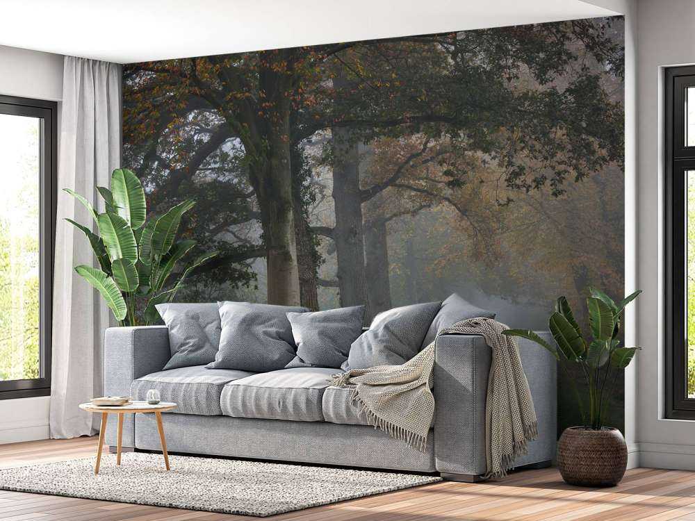 Laantje met bomen in de mist