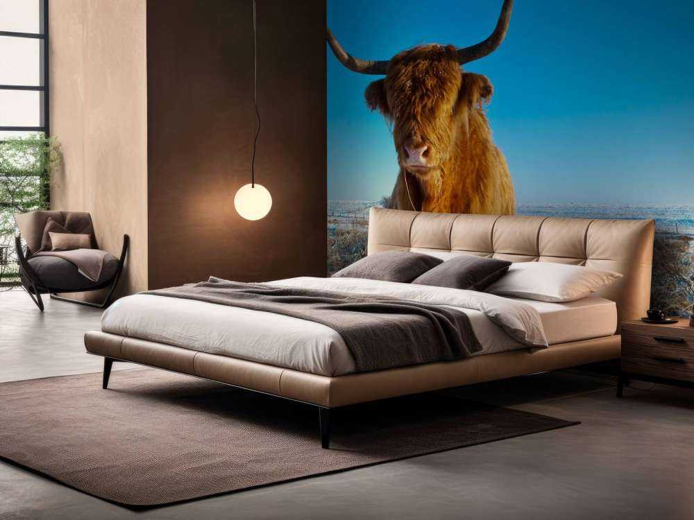 Schotse Hooglander met een blauwe lucht