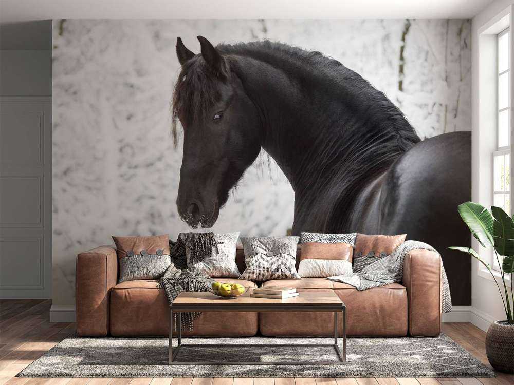 Fries Paard in de sneeuw